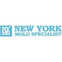 New York Mold Specialist image 1